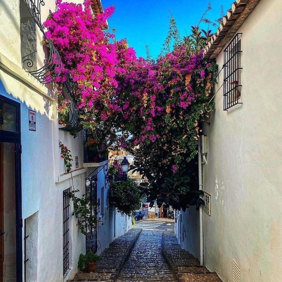 Luxury - Atico En Altea Hills Lägenhet Alicante Exteriör bild